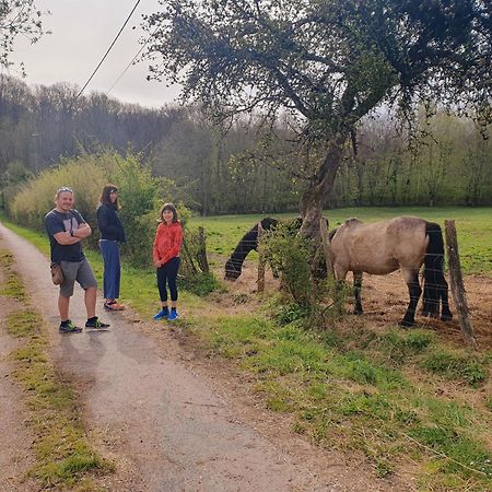 Ferme Equestre & Chambres D'Hotes Gateau Stables Proche Guedelon Saint-Amand-en-Puisaye 외부 사진
