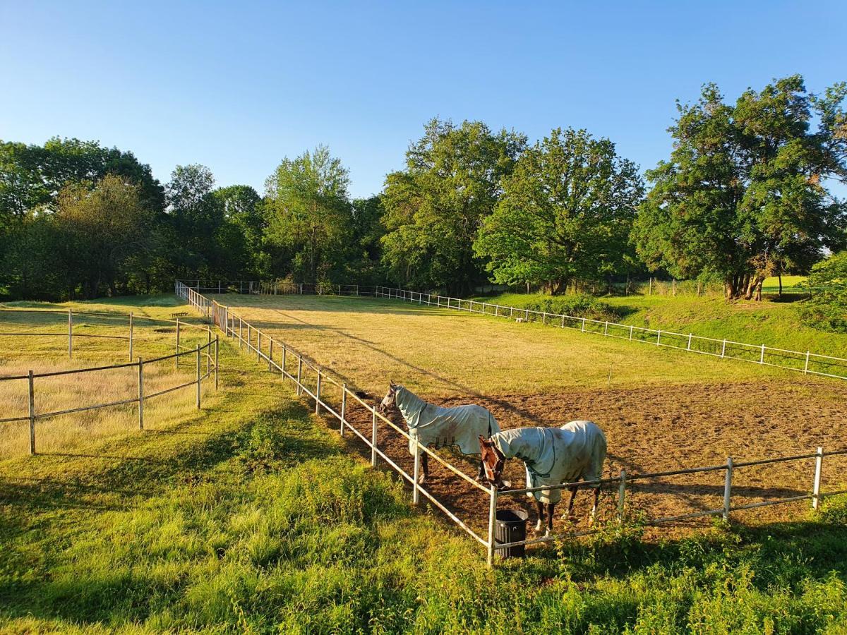Ferme Equestre & Chambres D'Hotes Gateau Stables Proche Guedelon Saint-Amand-en-Puisaye 외부 사진
