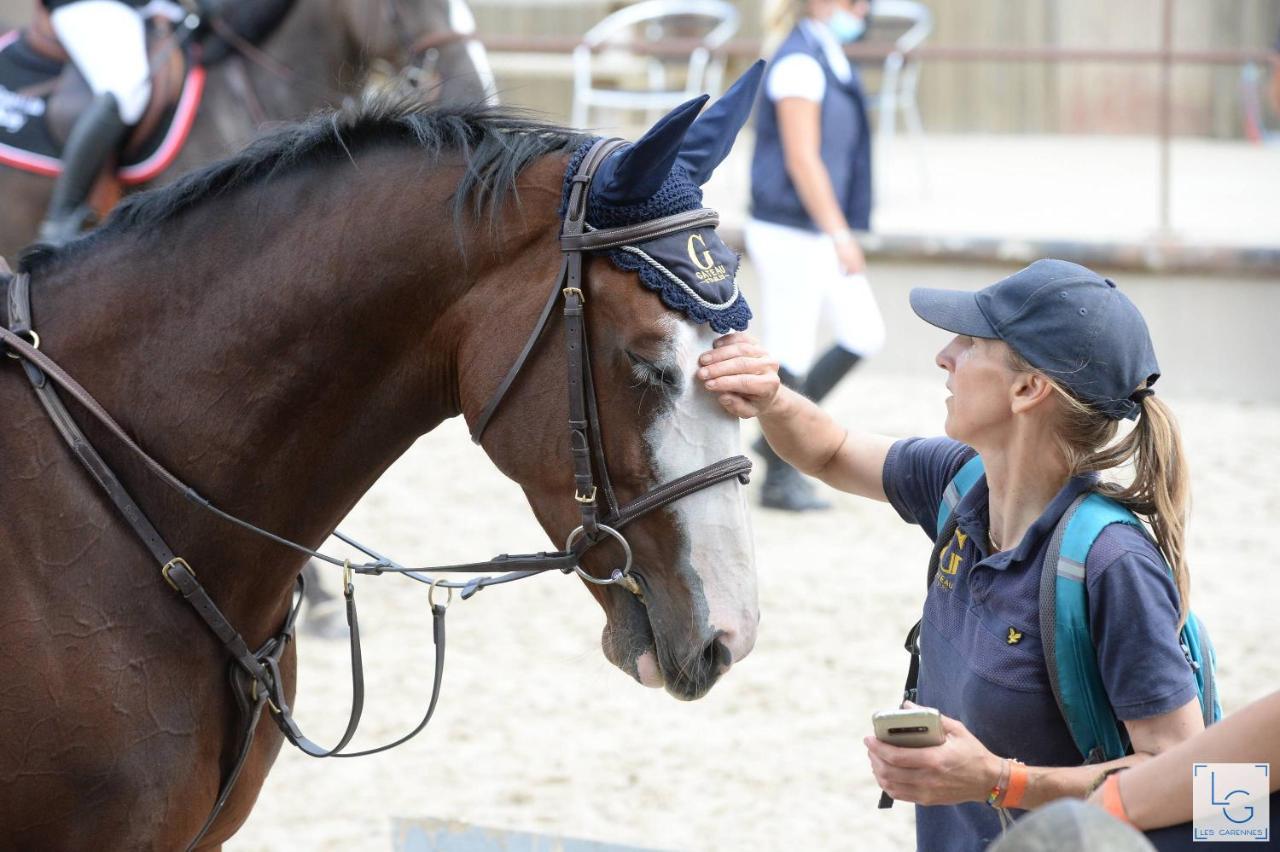 Ferme Equestre & Chambres D'Hotes Gateau Stables Proche Guedelon Saint-Amand-en-Puisaye 외부 사진