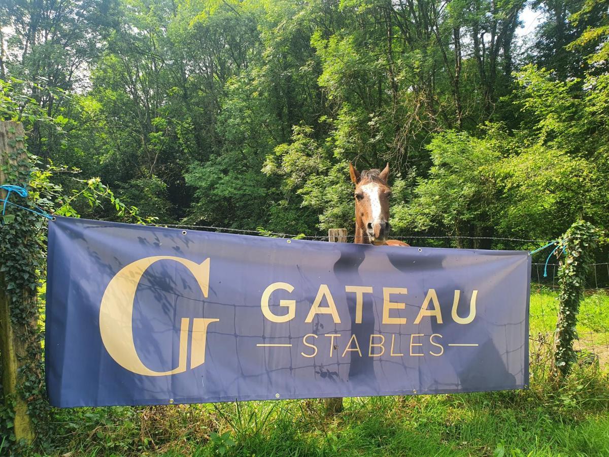 Ferme Equestre & Chambres D'Hotes Gateau Stables Proche Guedelon Saint-Amand-en-Puisaye 외부 사진