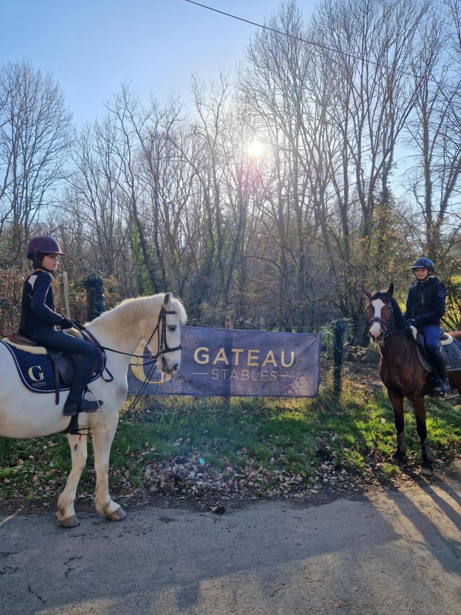 Ferme Equestre & Chambres D'Hotes Gateau Stables Proche Guedelon Saint-Amand-en-Puisaye 외부 사진