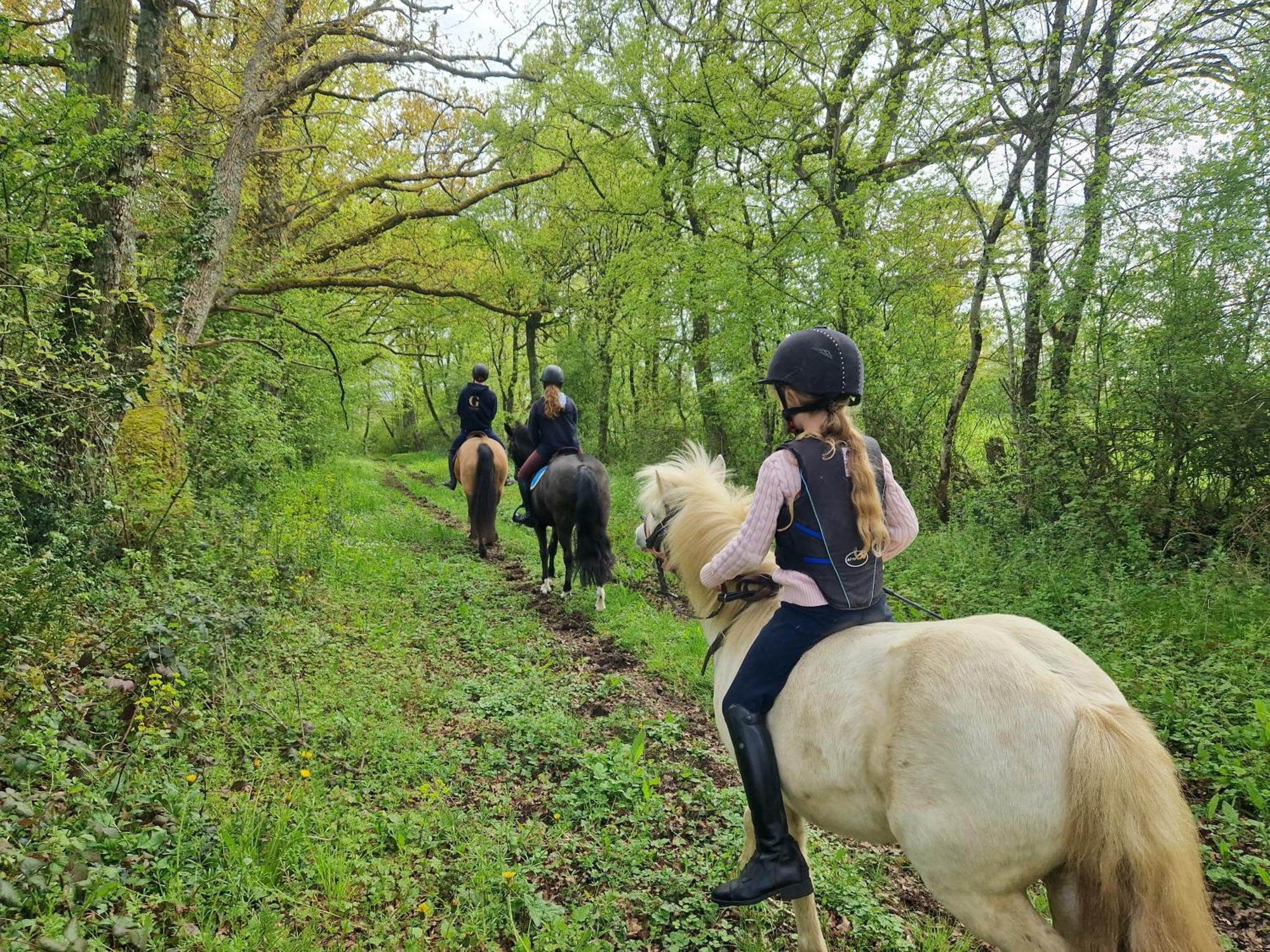 Ferme Equestre & Chambres D'Hotes Gateau Stables Proche Guedelon Saint-Amand-en-Puisaye 외부 사진