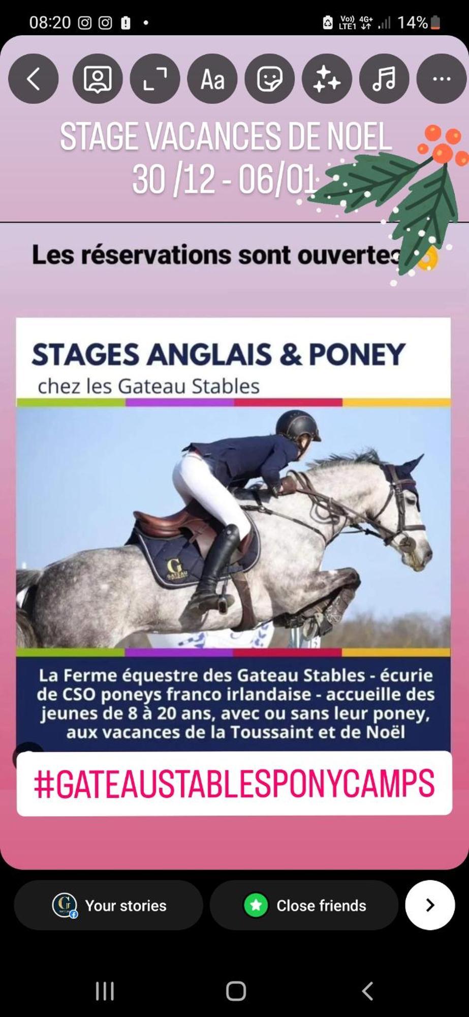 Ferme Equestre & Chambres D'Hotes Gateau Stables Proche Guedelon Saint-Amand-en-Puisaye 외부 사진