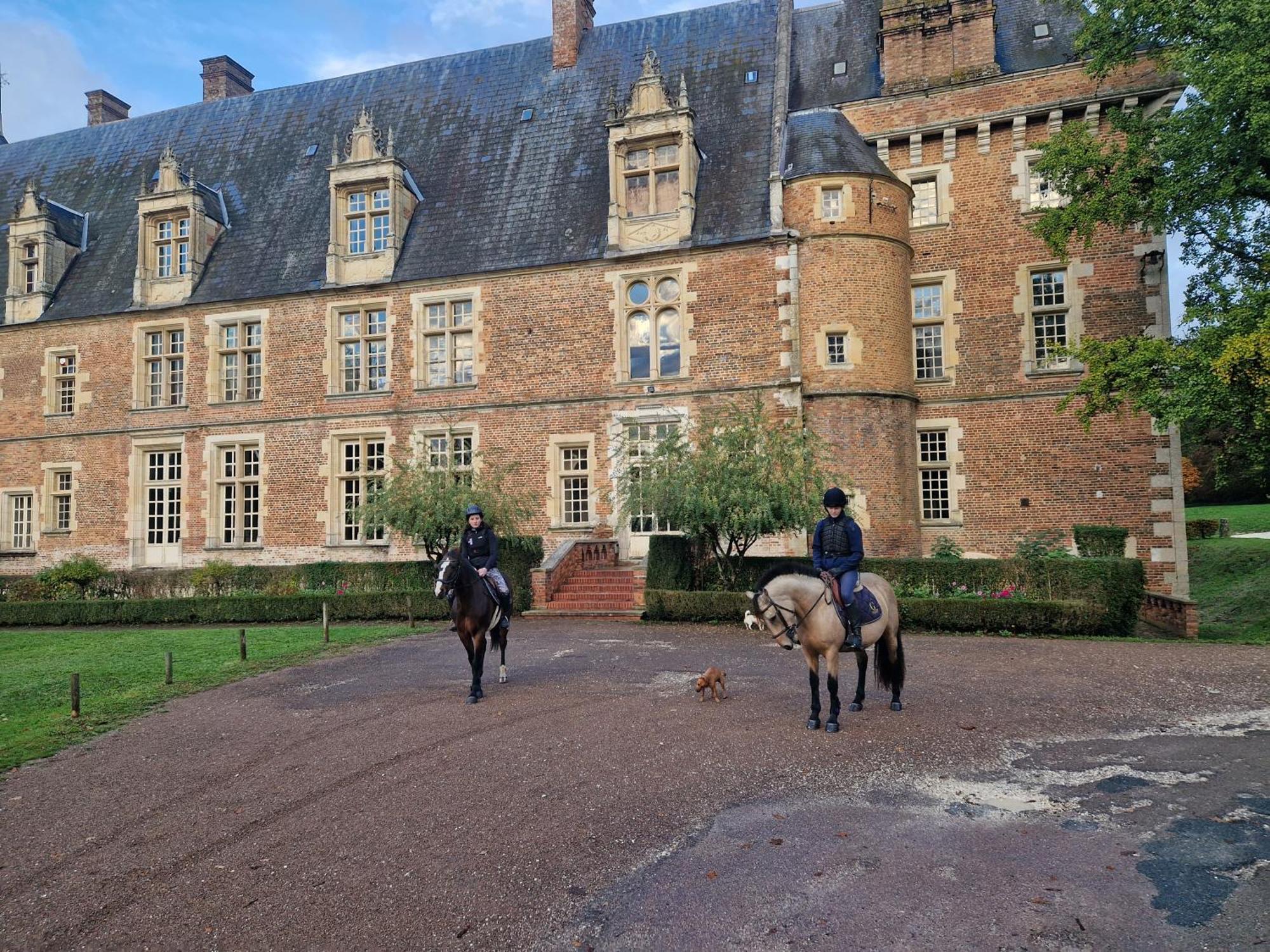 Ferme Equestre & Chambres D'Hotes Gateau Stables Proche Guedelon Saint-Amand-en-Puisaye 외부 사진