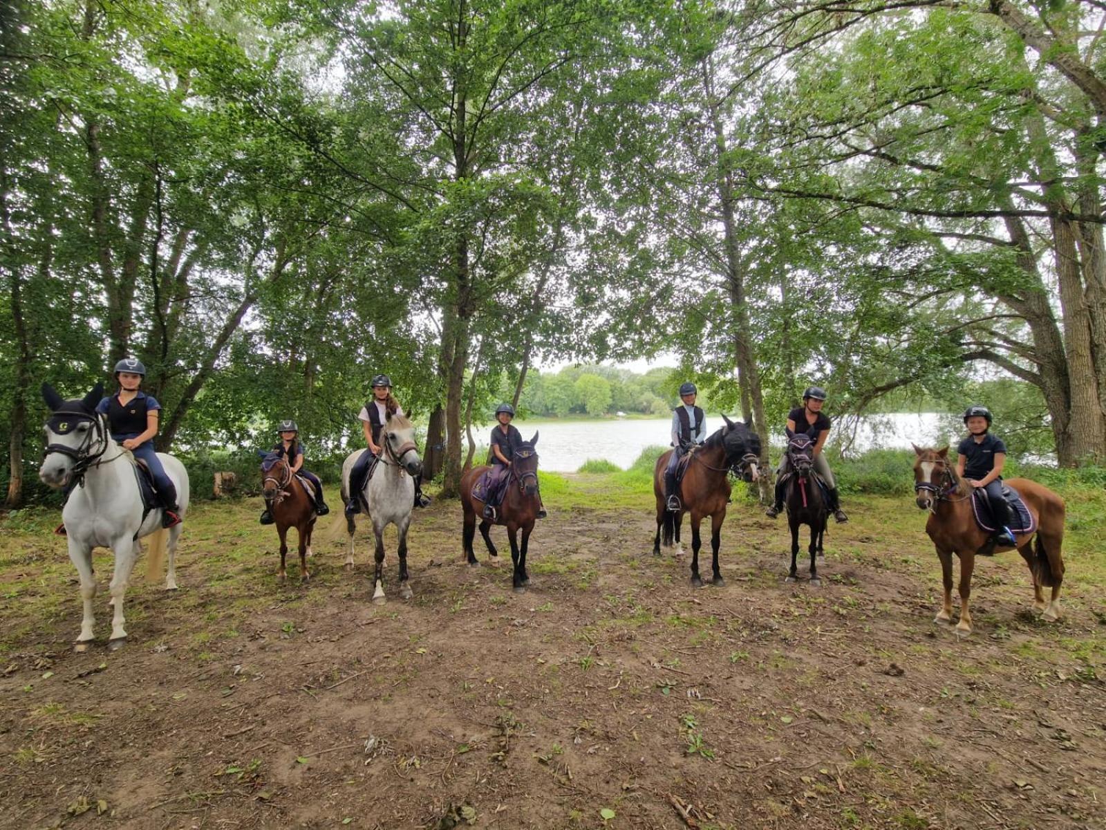 Ferme Equestre & Chambres D'Hotes Gateau Stables Proche Guedelon Saint-Amand-en-Puisaye 외부 사진