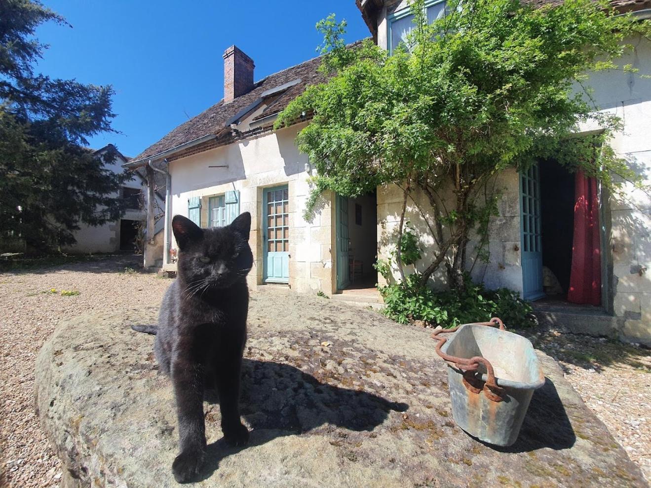 Ferme Equestre & Chambres D'Hotes Gateau Stables Proche Guedelon Saint-Amand-en-Puisaye 외부 사진
