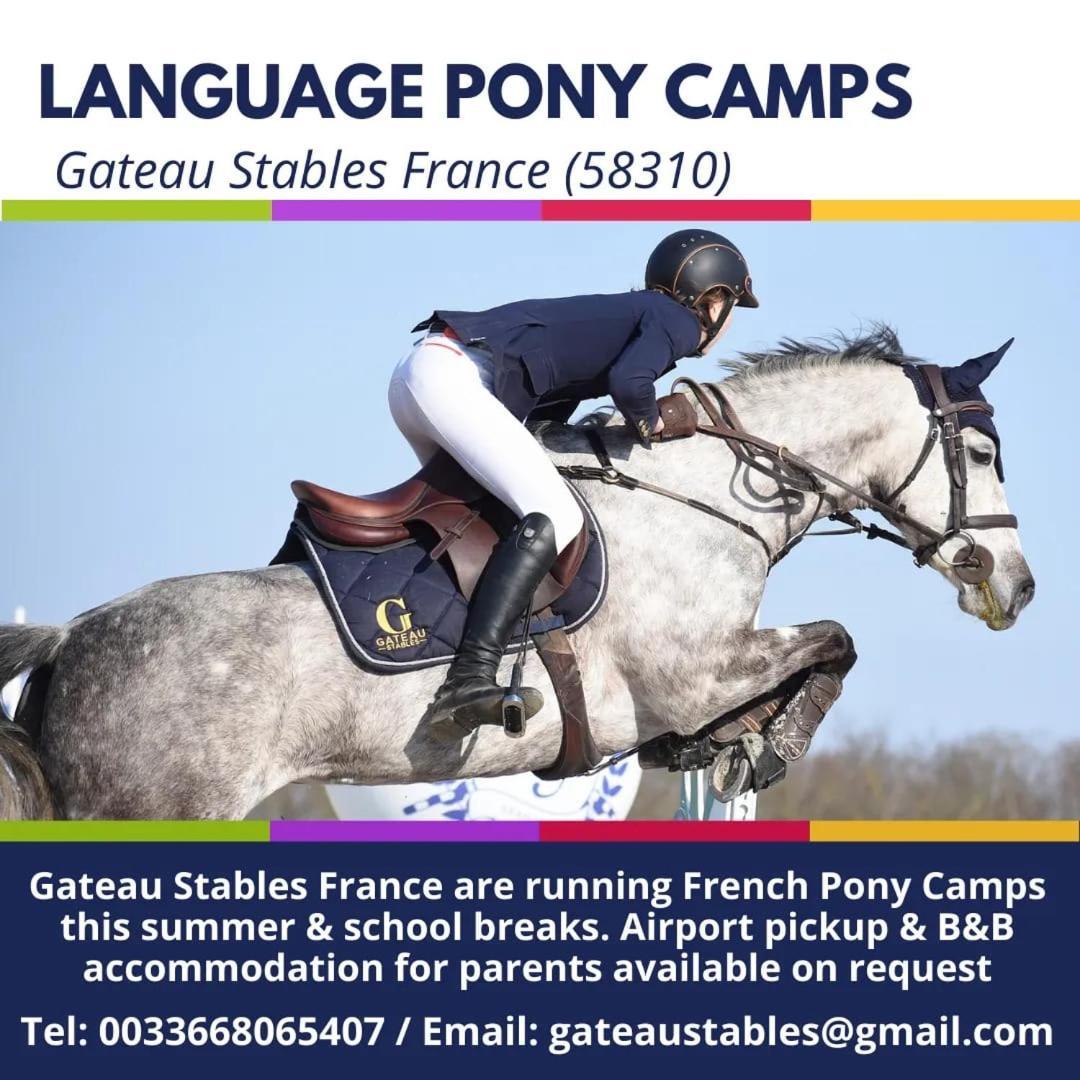 Ferme Equestre & Chambres D'Hotes Gateau Stables Proche Guedelon Saint-Amand-en-Puisaye 외부 사진