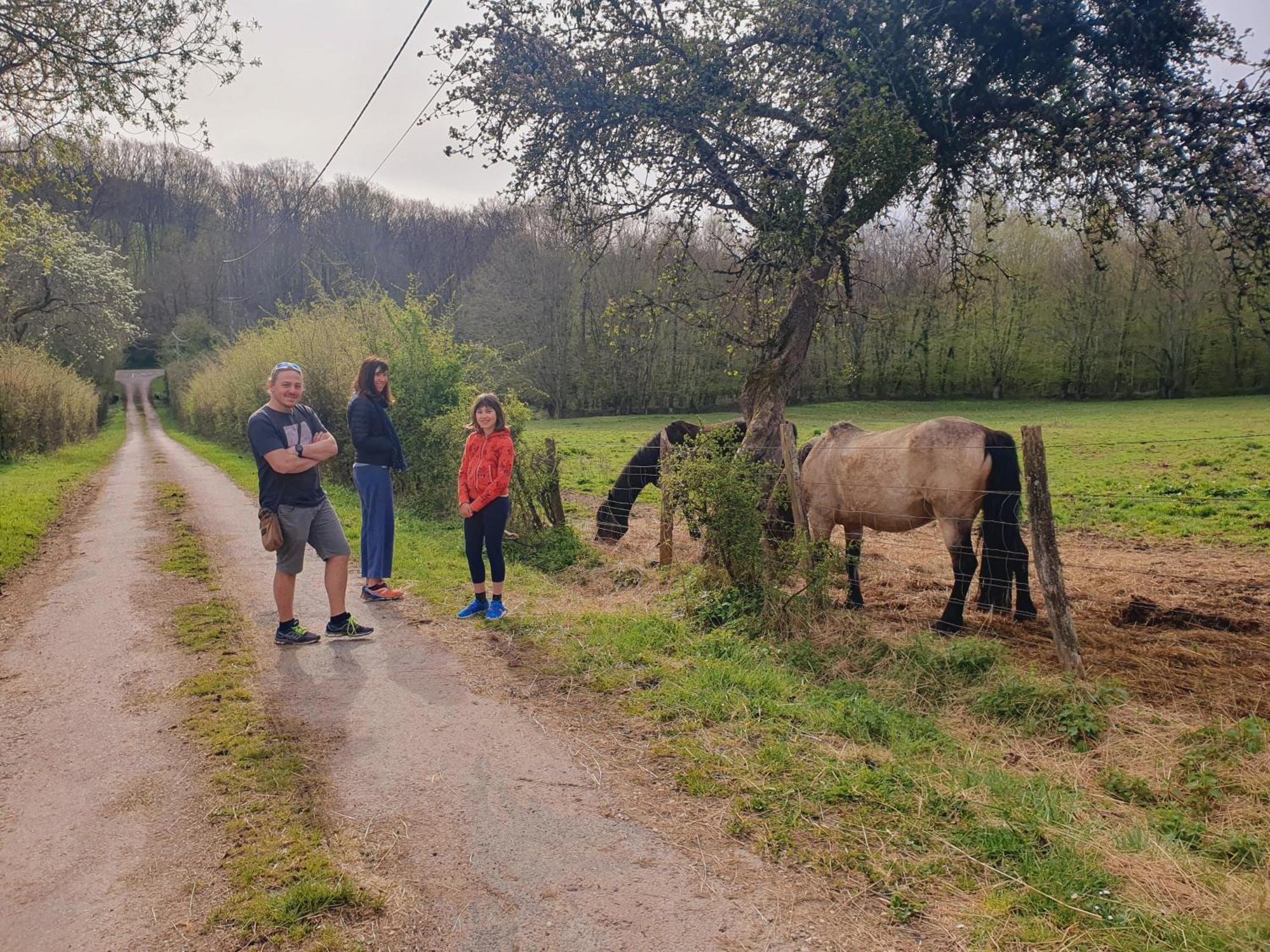Ferme Equestre & Chambres D'Hotes Gateau Stables Proche Guedelon Saint-Amand-en-Puisaye 외부 사진