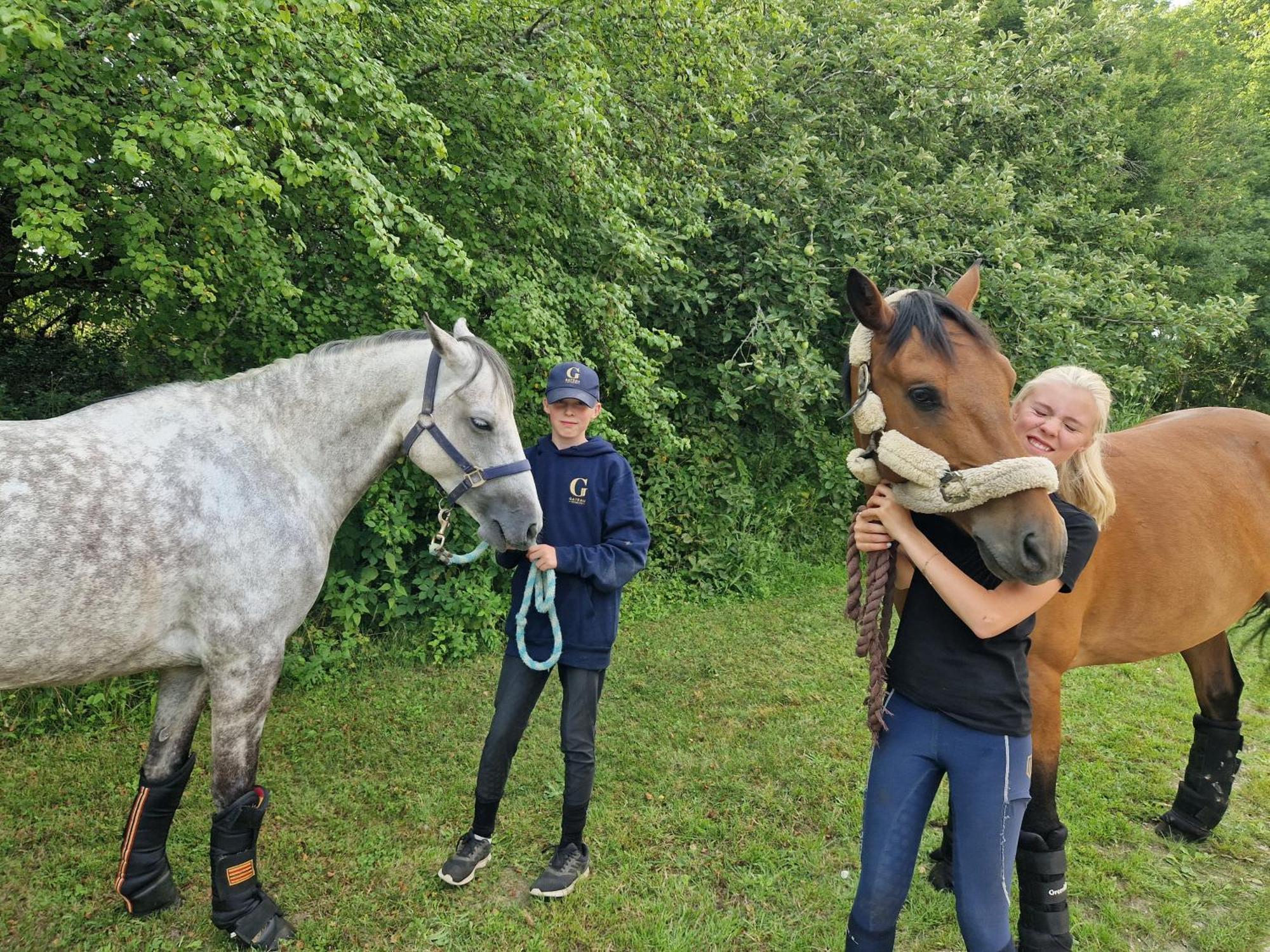 Ferme Equestre & Chambres D'Hotes Gateau Stables Proche Guedelon Saint-Amand-en-Puisaye 외부 사진